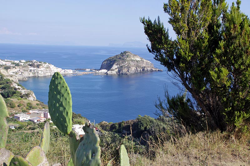 Giro dell'isola in Barca