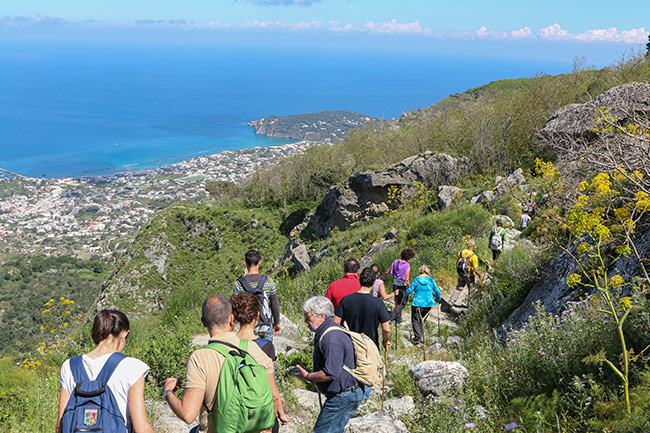 Trekking sul Monte Epomeo