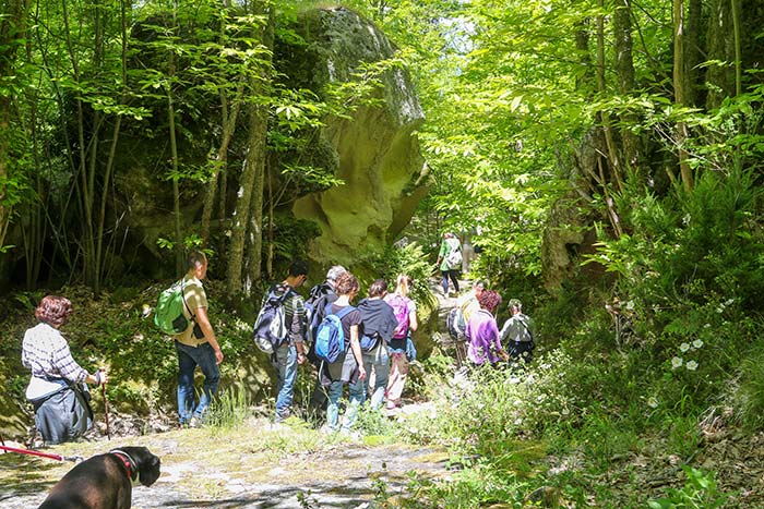 Trekking al Monte Epomeo